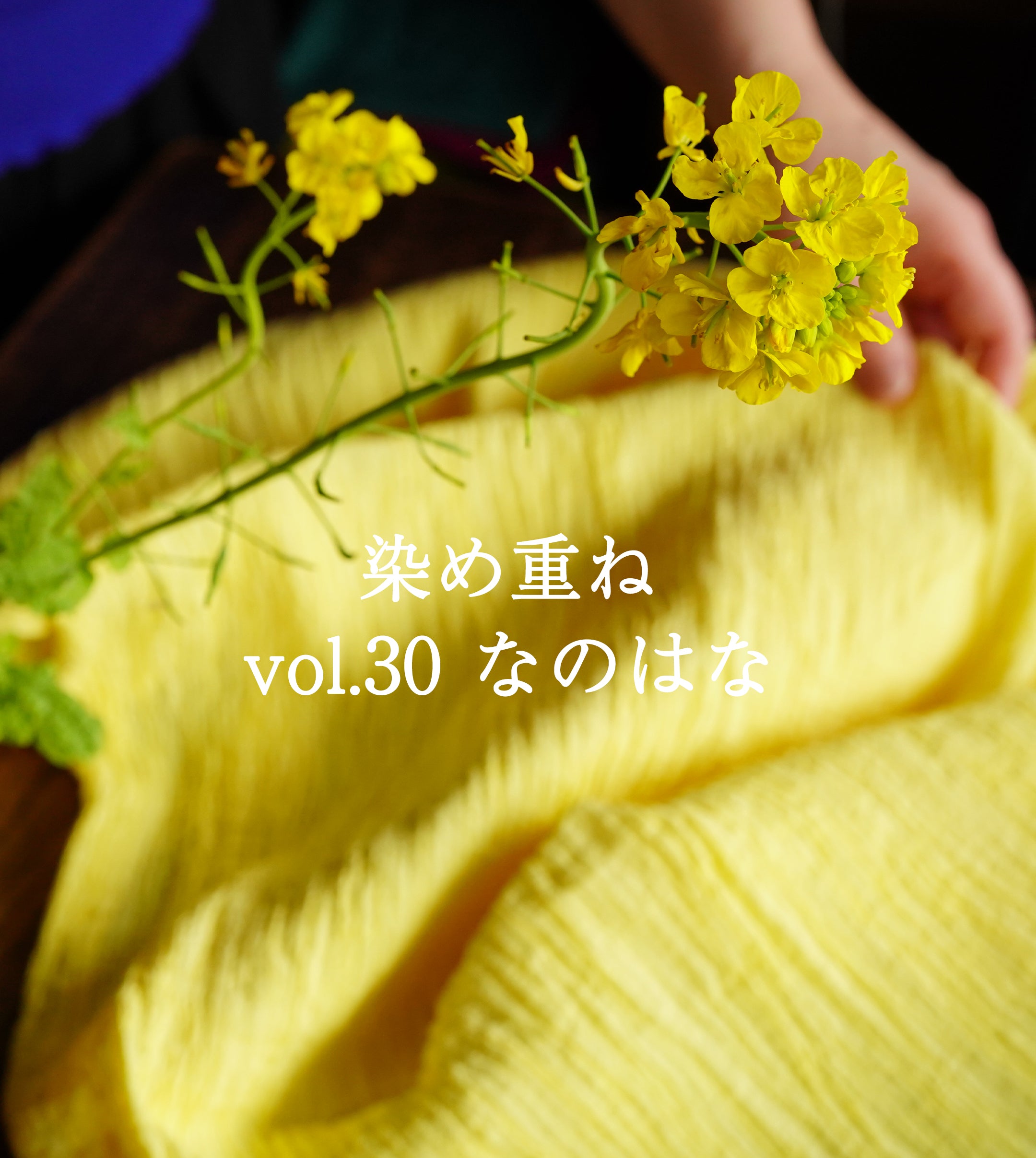 染め重ね　【vol.30　なのはな】