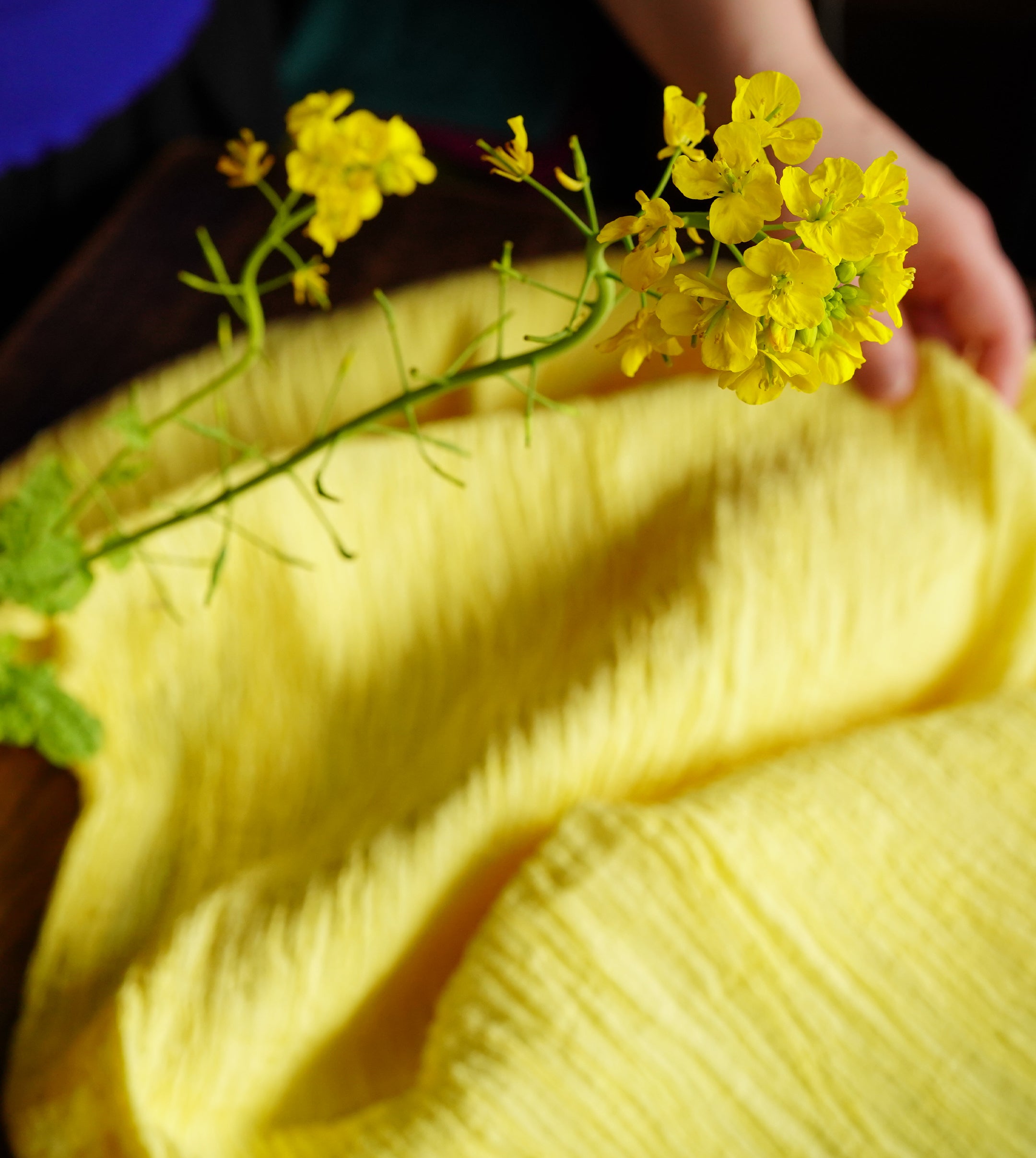 染め重ね　【vol.30　なのはな】